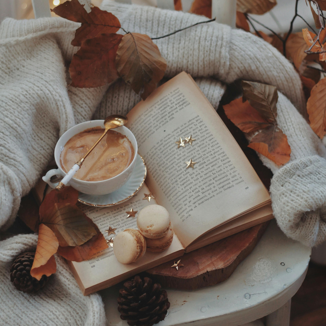 Bookish personality quiz: which book trope are you?